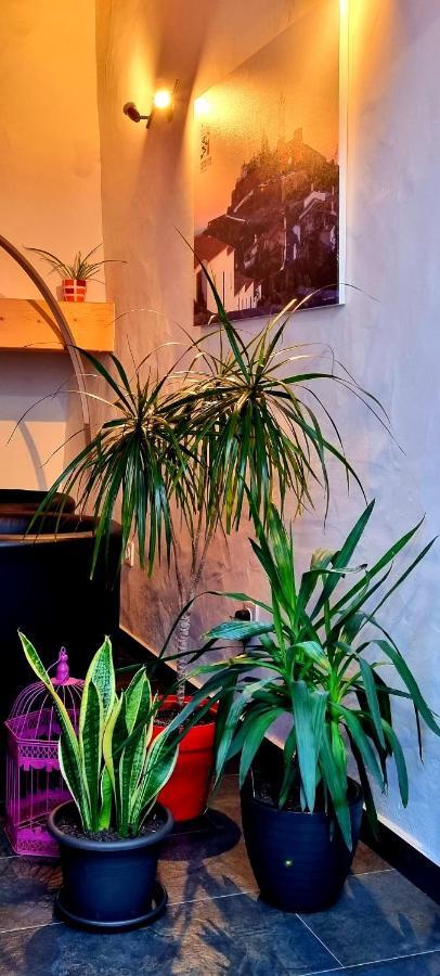 Charme De Monsaraz Villa Dış mekan fotoğraf